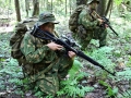 45orp16-o