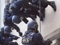 5c2cde5bf4ed-1