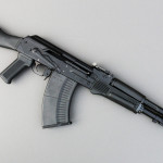 Vepr